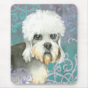 Elegant Dandie Dinmont Terrier Musmatta