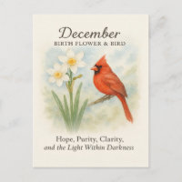Elegant December Skrift Kristen Kardinal