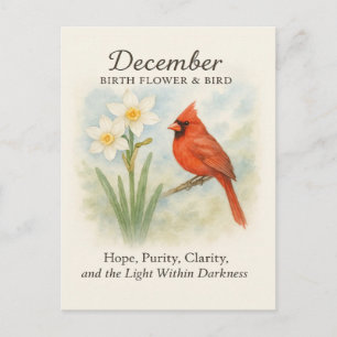 Elegant December Skrift Kristen Kardinal Vykort