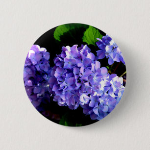 Elegant Djup lila blommigt Blommor hydrangea Knapp