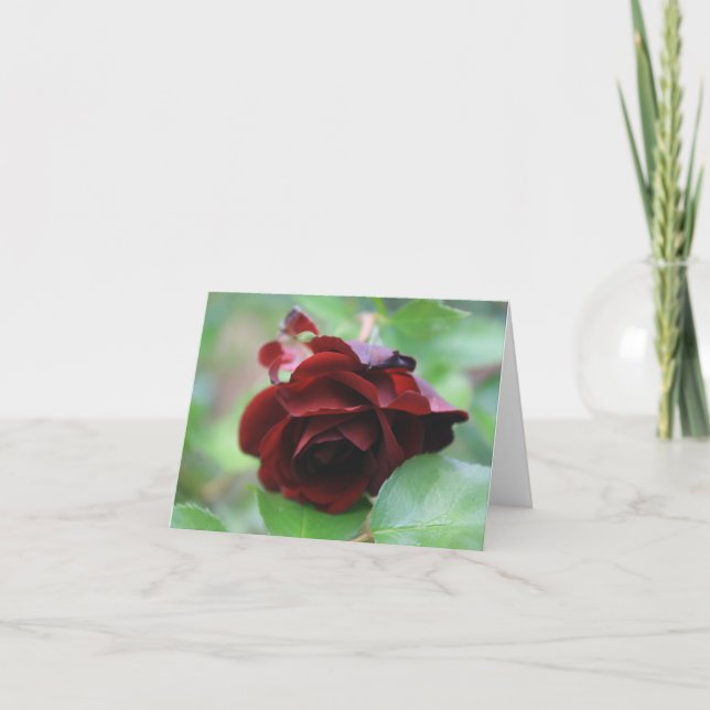 Elegant djupröd ros notkort tack kort (Framsida)