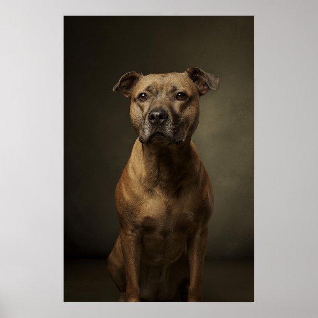 Elegant Dog Silhouette Poster (Framsidan)