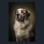 Elegant Dog Silhouette Poster<br><div class="desc">A stunning studio portrait of a dog illuminated with dramatic Rembrandt lighting. This elegant composition gives the image a timeless,  noble quality,  making it perfect for pet lovers and interior art collections.</div>
