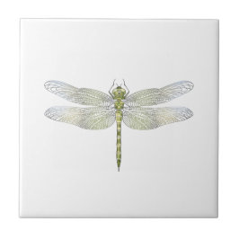 Elegant Dragonfly teckning Kakelplatta