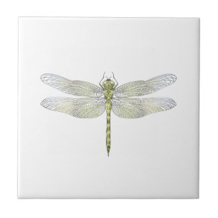 Elegant Dragonfly teckning Kakelplatta