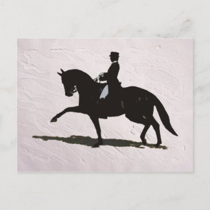 Elegant Dressage Horse & Rider Vykort