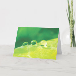 Elegant, dryga droppar, historier i naturpoesi kort