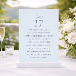 Elegant Dusty Blue Wedding Table Seating Card Tack Kort