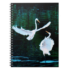Elegant Egrets in Dance Anteckningsbok