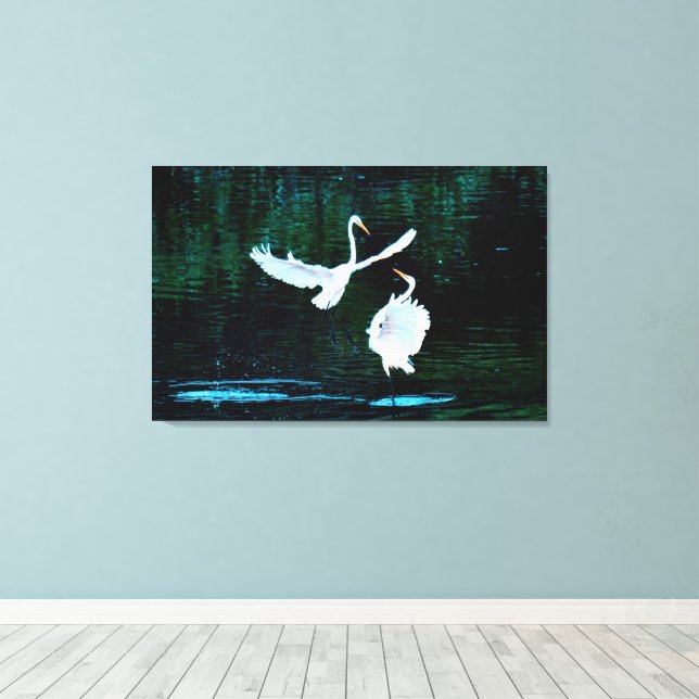 Elegant Egrets in Dance Canvastryck (Insitu (trägolv))