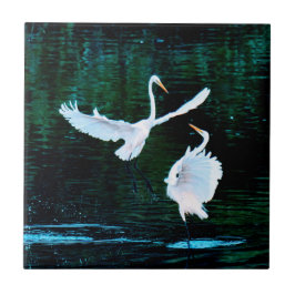 Elegant Egrets in Dance Kakelplatta
