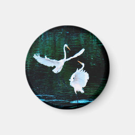 Elegant Egrets in Dance Magnet