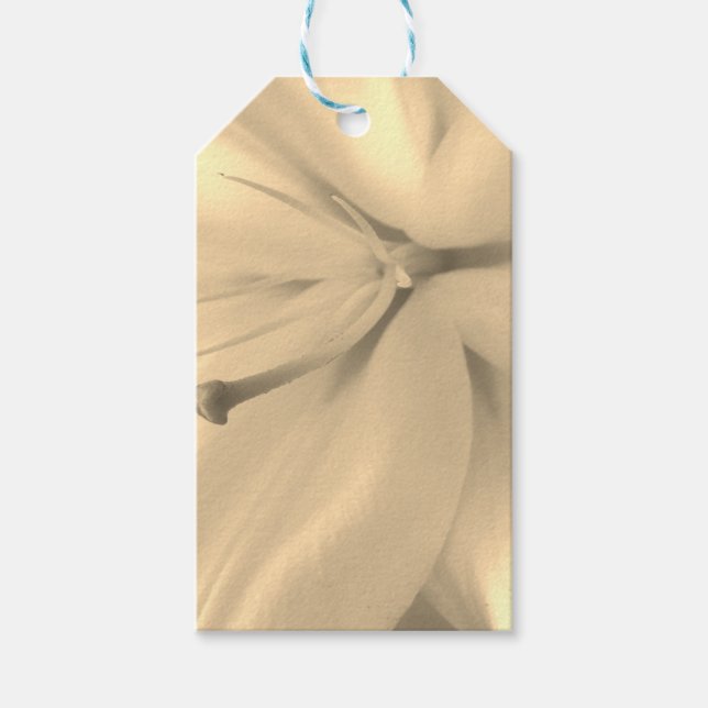 Elegant - enfärgad blommigt - Märkre för fotogåva Presentetikett (Framsidan)