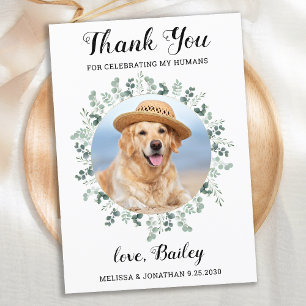 Elegant Eucalyptus Foliage Pet Photo Hund Bröllop Tack Kort