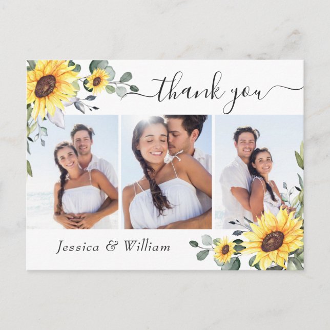 Elegant Eucalyptus Solblommor PHOTO Tack Vykort (Framsida)