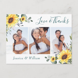 Elegant Eucalyptus Solros FOTO Tack Vykort