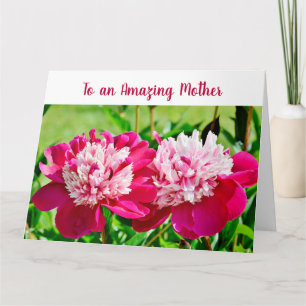 Elegant Fantastisk Patienttyp Kärlek Peonies Kort