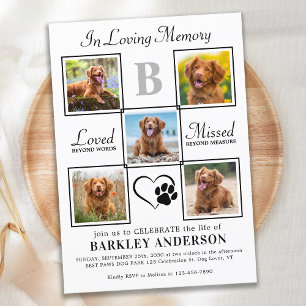 Elegant Firande i Life 5 Foton Pet Memorial Inbjudningar