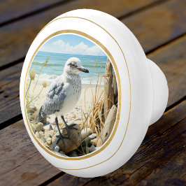 Elegant Fiskmås Beach-kusten Knopp