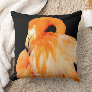 Elegant Flamingo Wading Bird i Sommar Sol Kudde