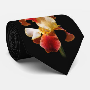 Elegant flerfärgad skäggiris Germanica Slips