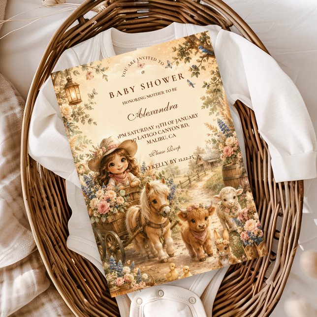 Elegant flicka västerländsk boho baby shower inbjudningar (Skapare uppladdad)