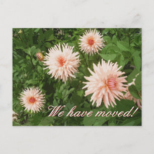 Elegant flytta vykort med Chrysanthemum-blomma