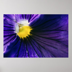 elegant för makrofoto för lila-blomma poster
