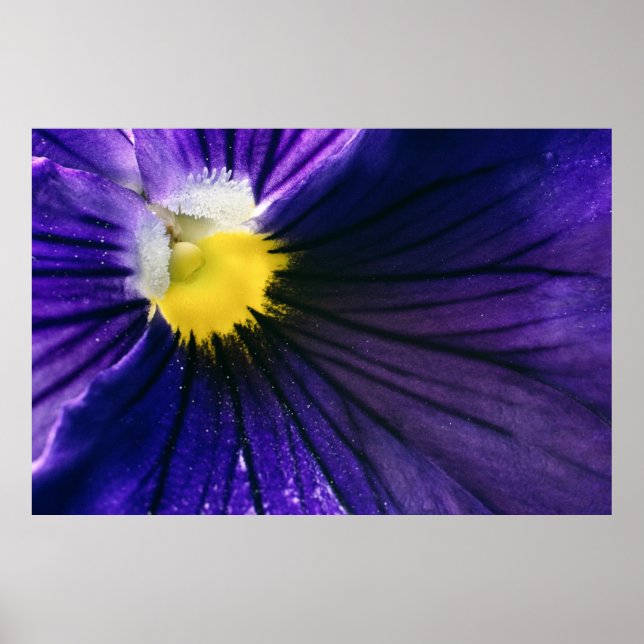elegant för makrofoto för lila-blomma poster (Framsidan)