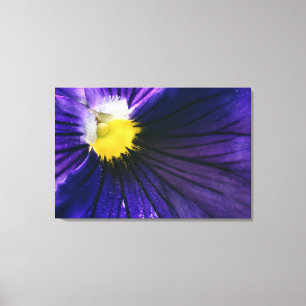 elegant för makrofoto för lila-pansy canvastryck