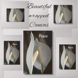 Elegant för White Peace Lily-Blommigt, fotografi Canvastryck