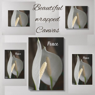 Elegant för White Peace Lily-Blommigt, fotografi Canvastryck