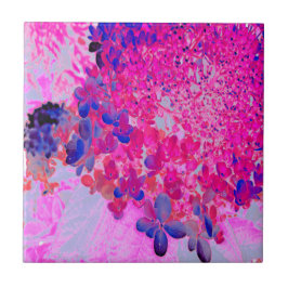 Elegant Fuchsia och Mörk blått Limelight Hydrangea Kakelplatta