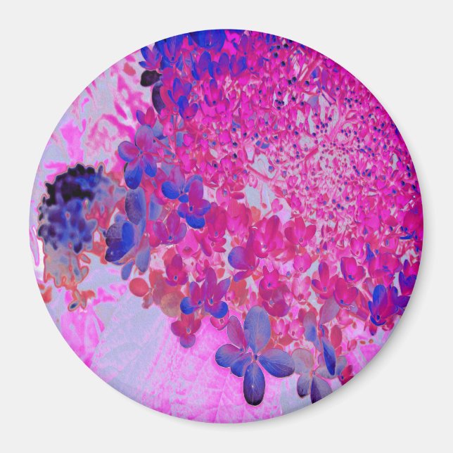 Elegant Fuchsia och Mörk blått Limelight Hydrangea Magnet (Framsidan)