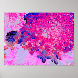 Elegant Fuchsia och Mörk blått Limelight Hydrangea Poster