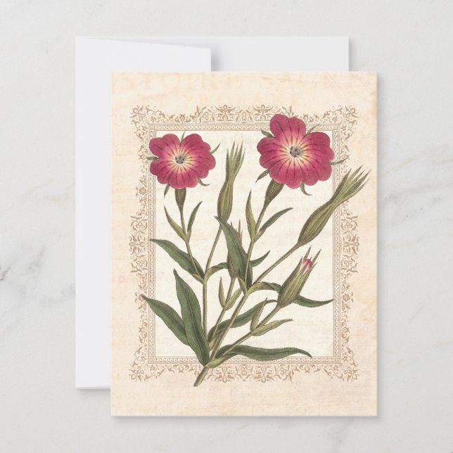 Elegant Gardenfirad Damen 50-årsfirande Inbjudningar (Framsida)