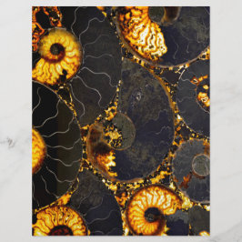 Elegant Golden Black Nautilus snäcka