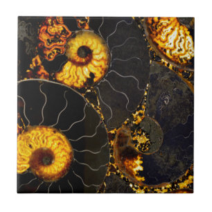 Elegant Golden Nautilus abstrakt Black guld Kakelplatta