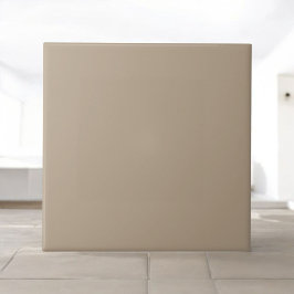 Elegant Gråfisk Orange Modern och minimalistisk de Kakelplatta