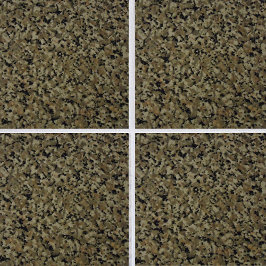 Elegant Granite Euphoria Kakelplatta