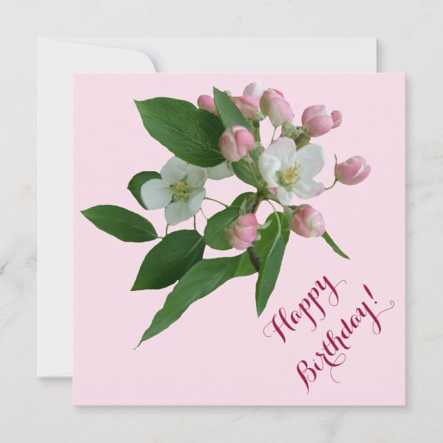 Elegant Grattis på födelsedagen söt rosa blommar b Kort (Framsida)