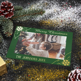 Elegant Grönt Poinsettia julfoto