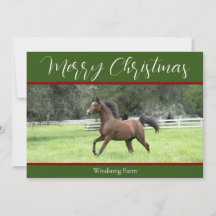 Elegant Grönt Red Arabian Horse 1 Fotojul