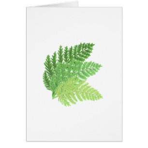 Elegant grönt vattenfärgen Ferns woodland lövs Hälsningskort