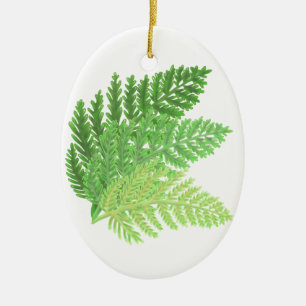 Elegant grönt vattenfärgen Ferns woodland lövs Julgransprydnad Keramik