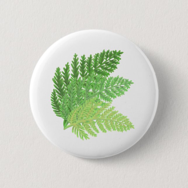 Elegant grönt vattenfärgen Ferns woodland lövs Knapp (Framsida)