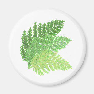 Elegant grönt vattenfärgen Ferns woodland lövs Magnet