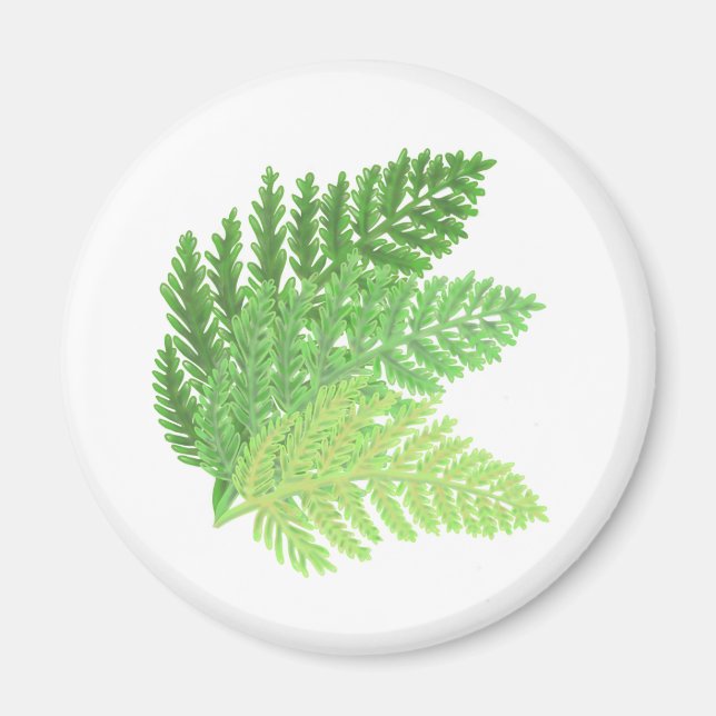 Elegant grönt vattenfärgen Ferns woodland lövs Magnet (Framsidan)