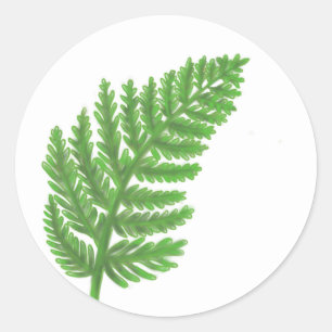 Elegant grönt vattenfärgen Ferns woodland lövs Runt Klistermärke