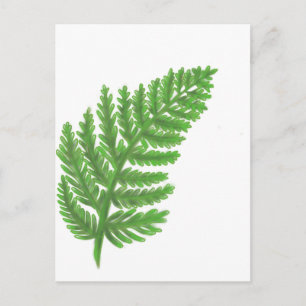 Elegant grönt vattenfärgen Ferns woodland lövs Vykort